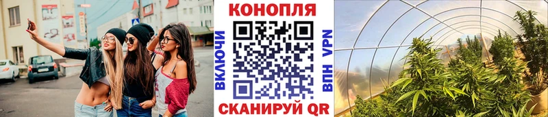 Где купить наркотики Томари Гашиш  APVP  Cocaine  Меф мяу мяу  Марихуана 